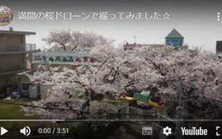 満開の桜をドローンで撮ってみたよ☆