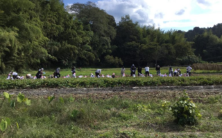 お芋ほりに行ったよ♪10月24日