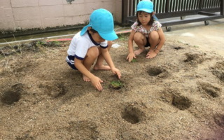 芝生を植えたよ☆　７月６日（水）