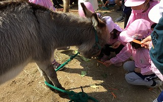 動物さんたちがやってきた！３月８日