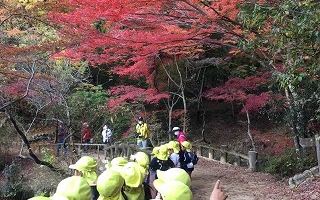 森林植物園に行ったよ☆11月19日