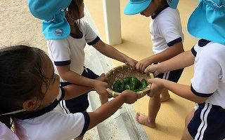 ❤はーとむら❤で収獲しました！　10月12日（火）