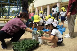 ミニトマトを植えたよ☆６月２日