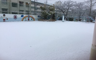 雪！