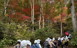 ☆森林植物園に行ったよ☆11/19